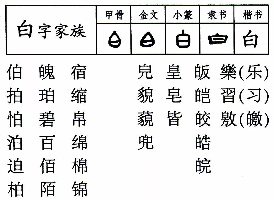 双法字理白字家族