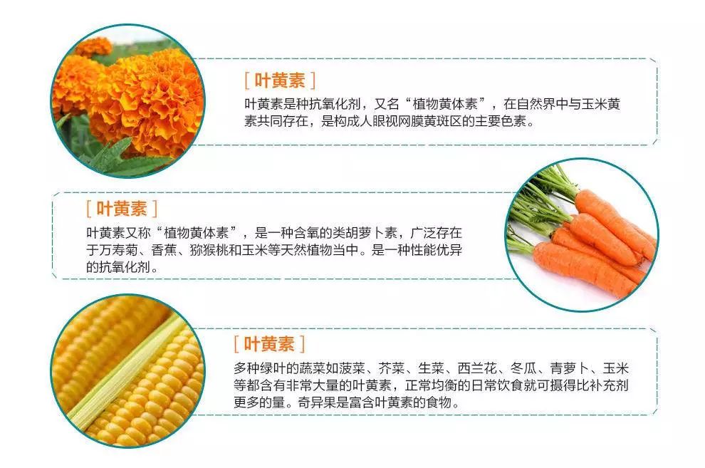 叶黄素含量高的食物有哪些【叶黄素哪些食物含量高】