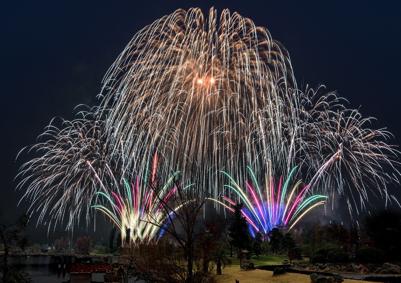 烟花飞舞迎新年图片