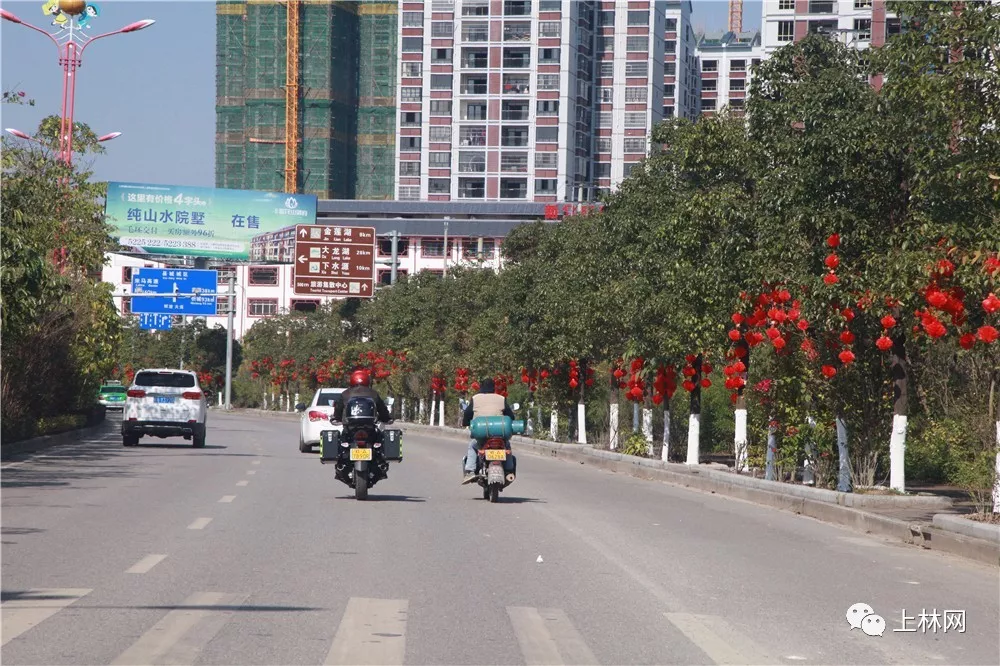 明澄大道是外界通往我县的主要干道,沿路的风景和设施可以说决定了