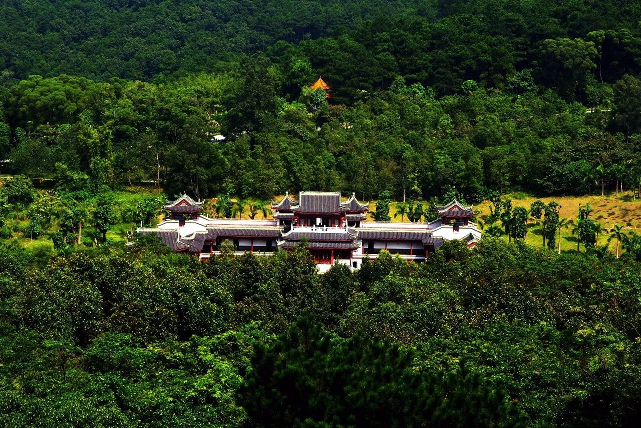 元旦鉅獻南寧民族博物館青秀山一日遊