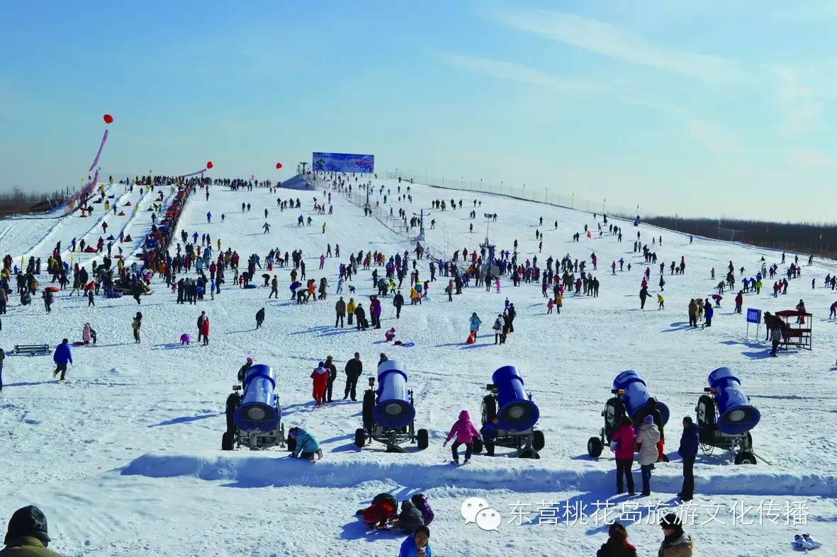 龙居桃花岛滑雪场图片