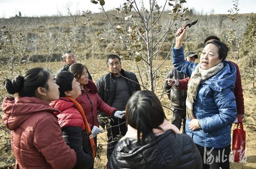 太行山上的新愚公后继有人跟访河北农大李保国扶贫志愿服务队