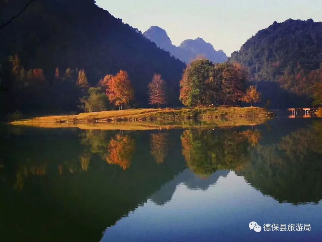 連洋人都戀上德保楓紅橙黃花海您還等啥錯過了就等明年了