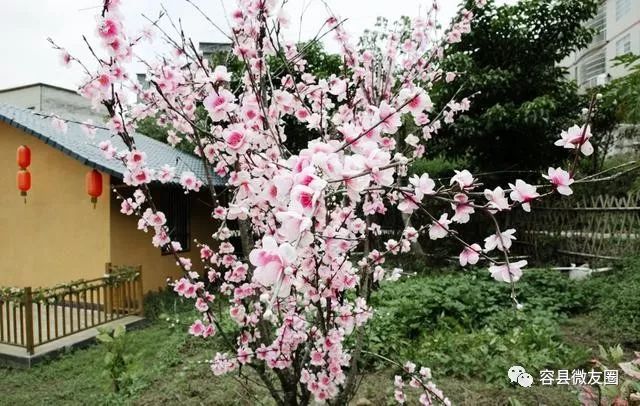 容县绿碧山风景区图片