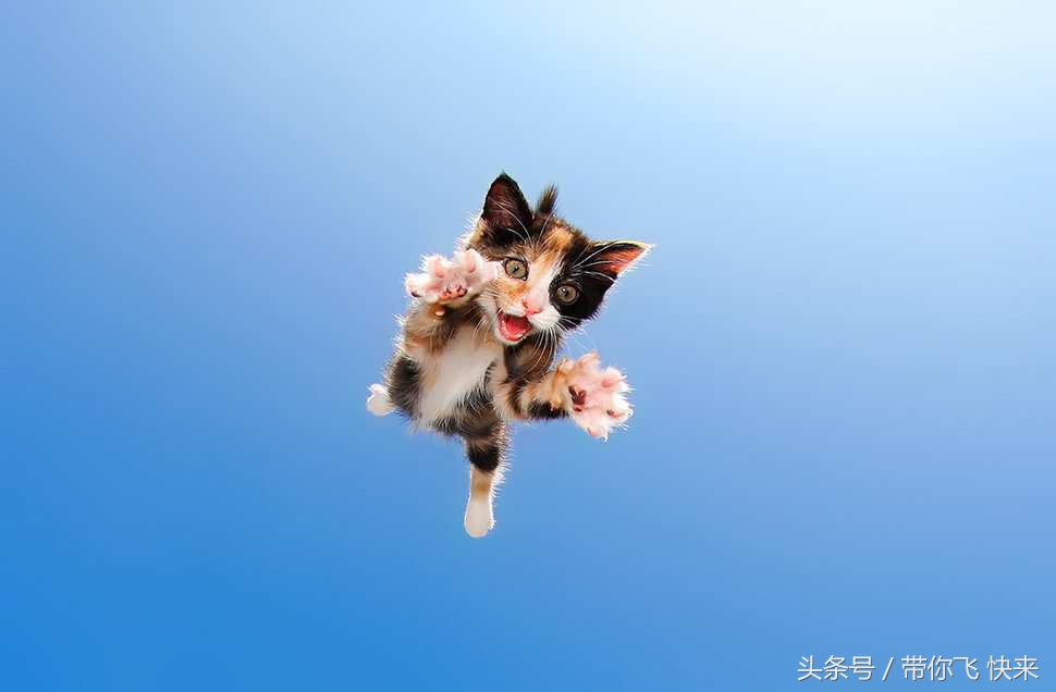 飞翔猫爱豆团写真集图片