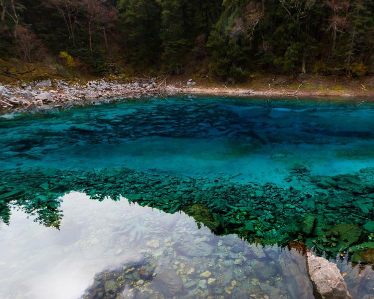 景區遊覽圖介紹長海是九寨溝海拔最高,海拔3060米.