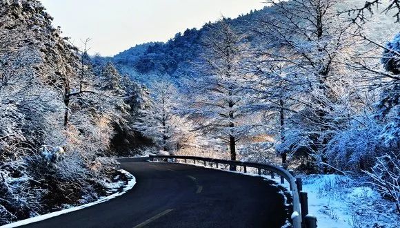 宁波余姚·四明山雾凇非冰非雪,是江南冬日少见的奇景