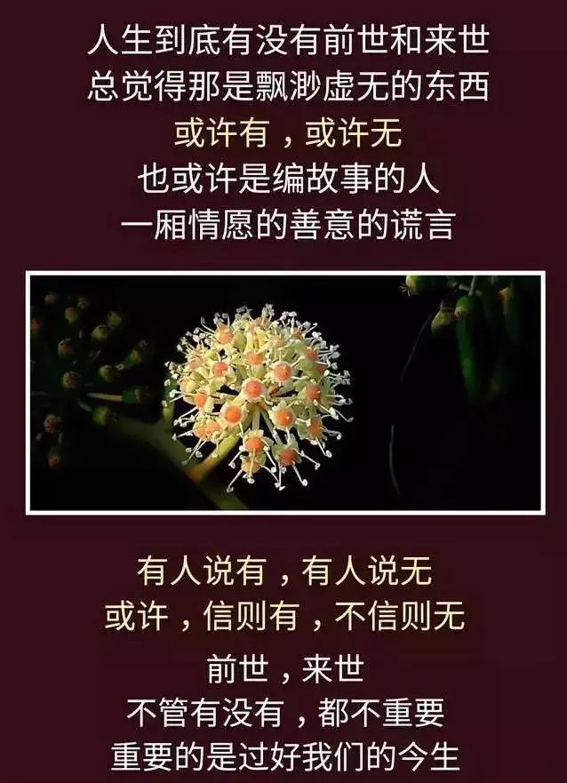 昨天,今天,明天;過去,現在,將來;前世,今生,來世…太絕了!