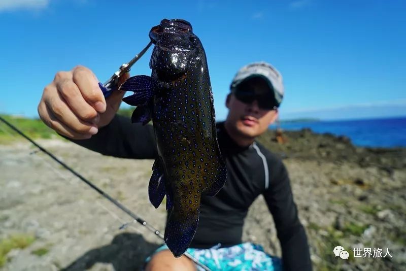 惊险!塞班岛巨浪悬崖钓石斑鱼 世界厨房