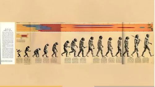 【科普】史上被用错最多次的人类进化图