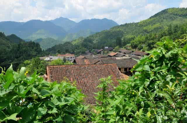 尋找慶元最美風景|水寨古村