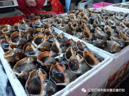 陽光假日旅行社鮁魚圈小雨溫泉海鮮自助餐12月26日已成團120元人