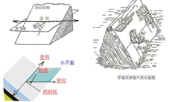 由走向,倾向和倾角三个要素表示 如下图:3