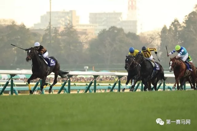 赛马 日本马王 北部玄驹 夺有马纪念赛冠军 以七项一级赛盟主头衔光荣退役