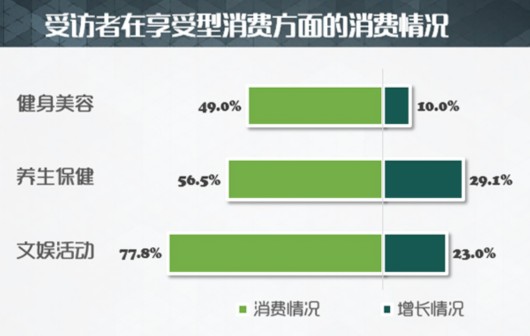 消费与收入调查报告_贵州省旅游消费聚集情况调研报告发布！(2)