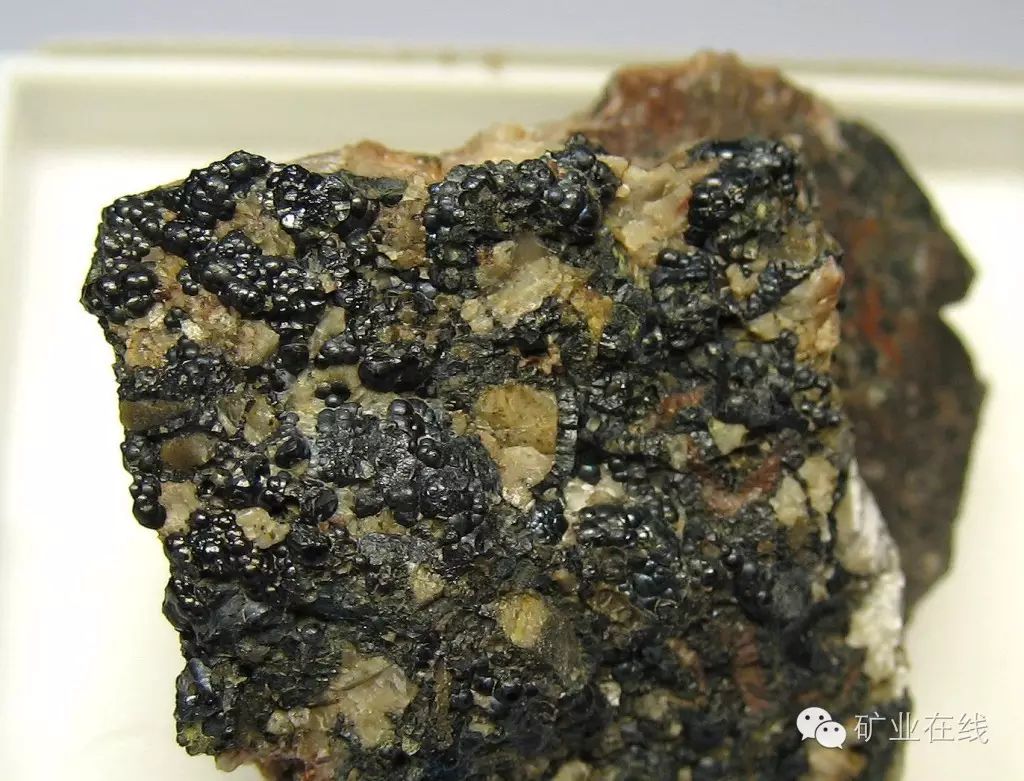 2,沥青铀矿成分为二氧化铀(u02),含铀55%――64%,常含钍,镭,稀土元素