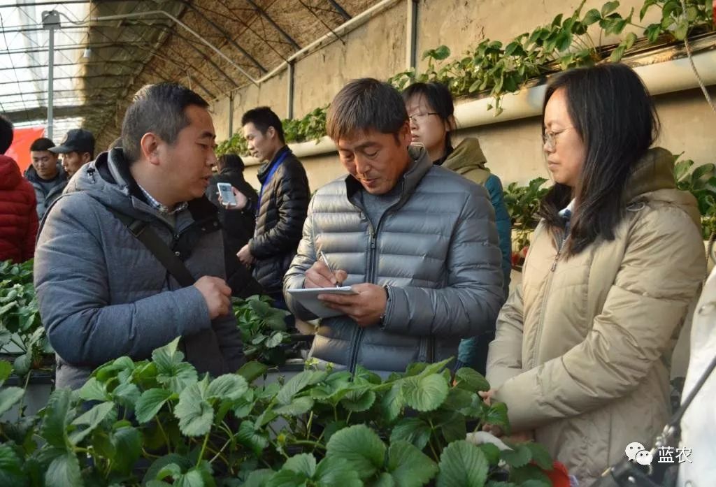 李健老师(左一)和宗静老师(右一)在大棚里与学员