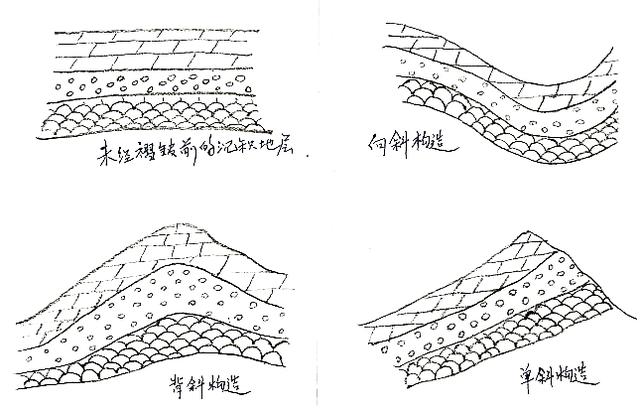 水平构造单斜构造褶皱构造