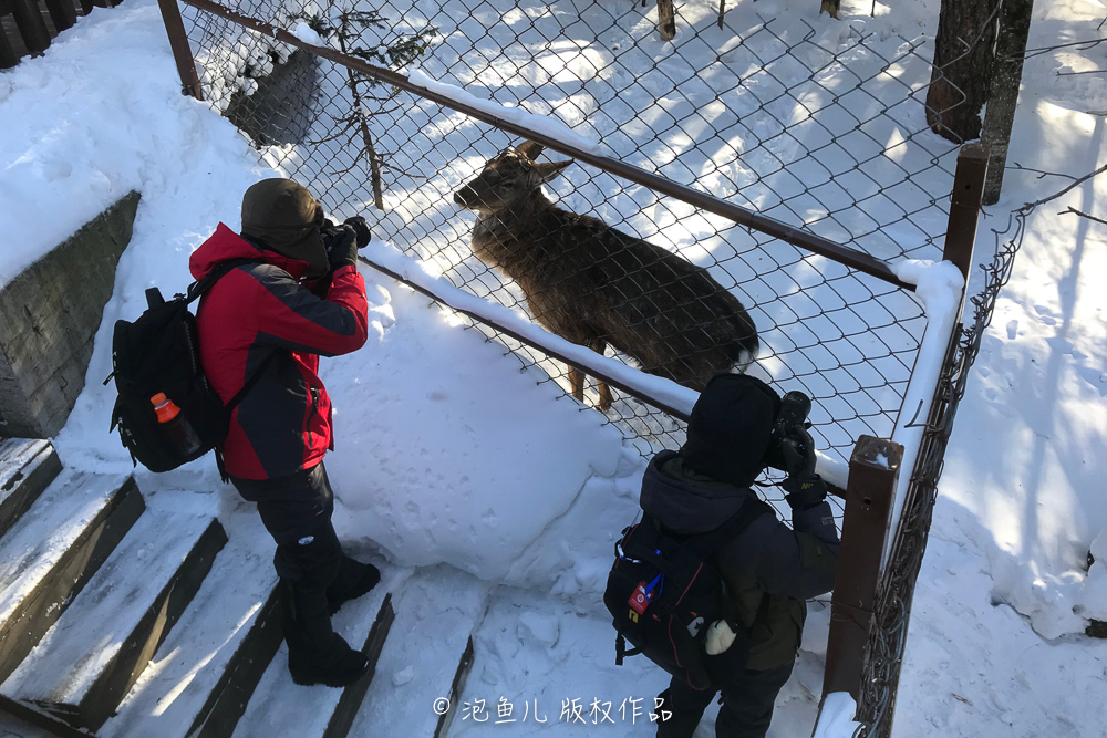 吉林｜在东北这个地方，狩猎居然是合法的