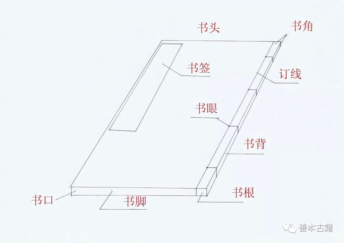 天頭:亦稱