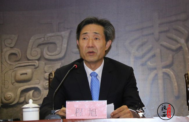 陕西历史博物馆副馆长程旭