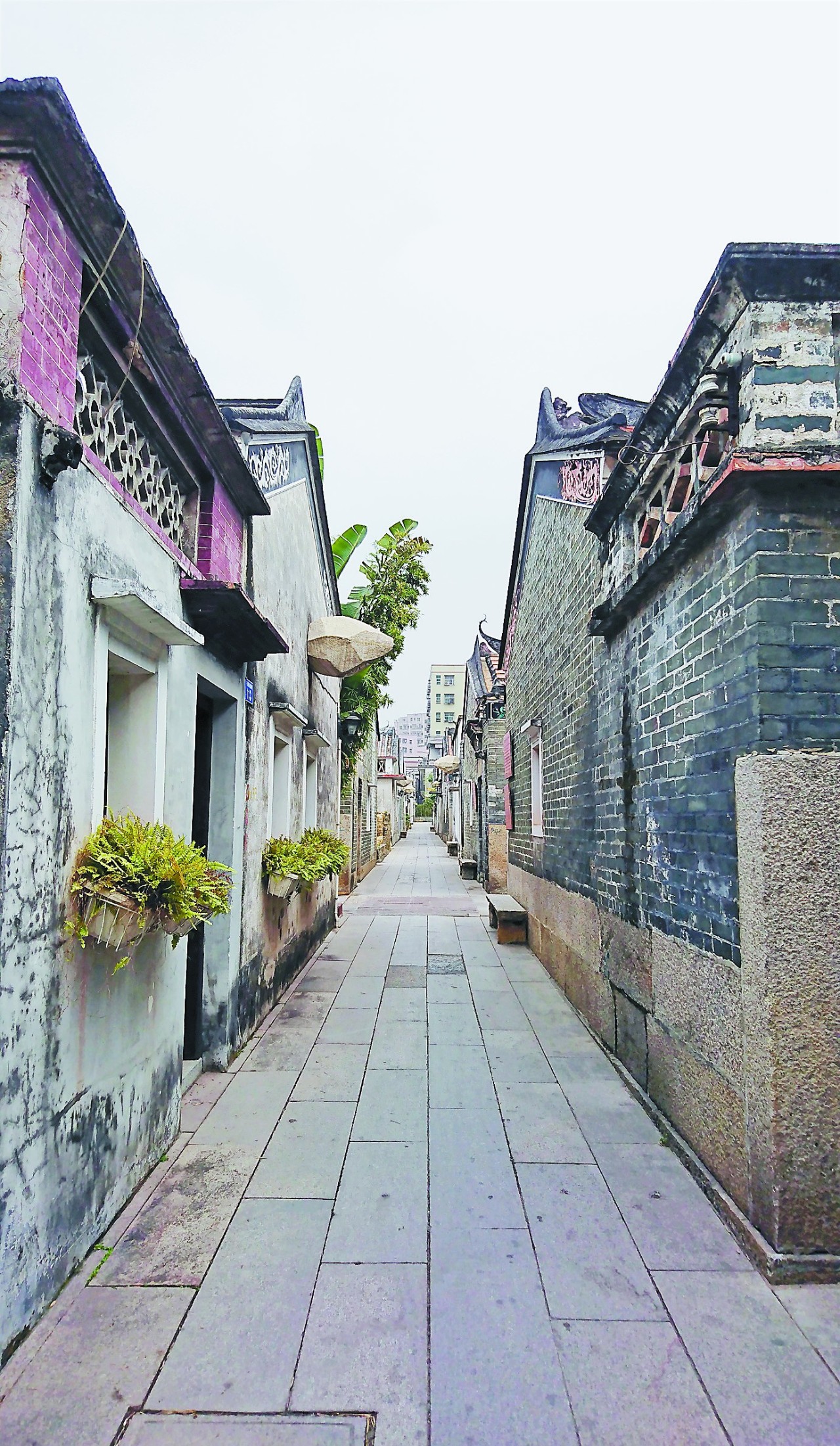 【热点】这个700多岁的深圳古村落你去过没?