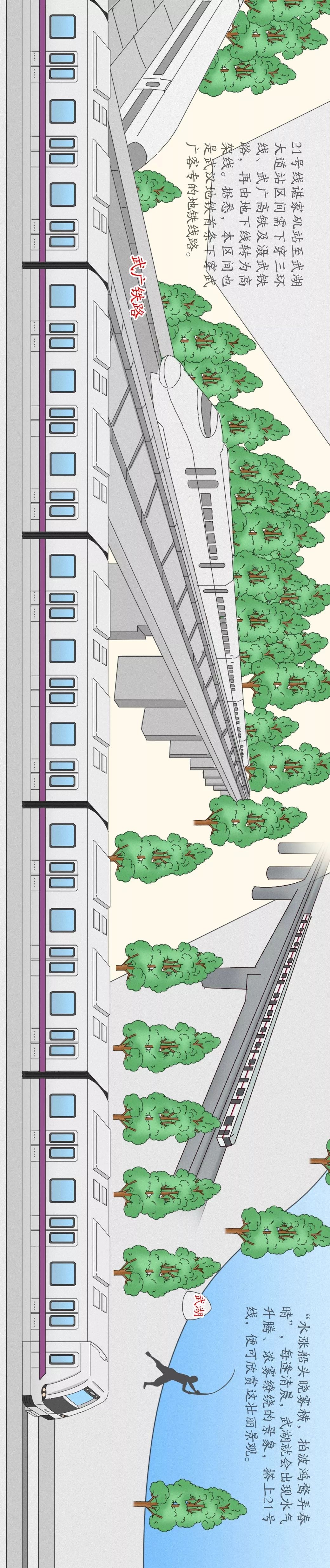 开通啦!手绘版东湖绿道二期 3条地铁,一图见证武汉的盛世美颜!