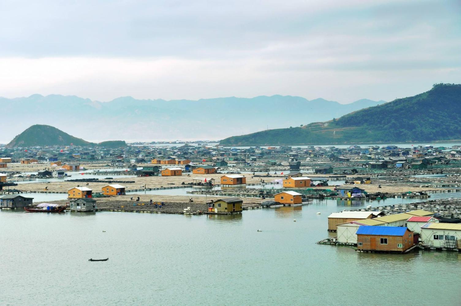 地址:霞浦县溪南镇台江霞浦的美景太多,还有光影错落的美丽沙江,依山