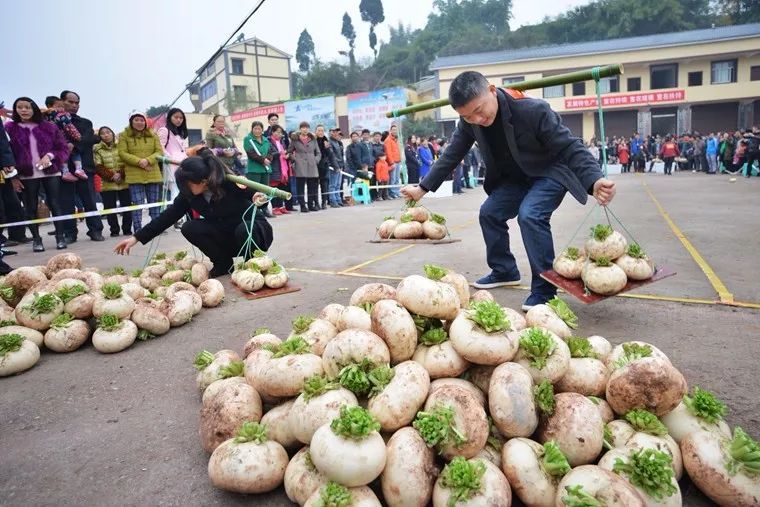 "冬吃萝卜,夏吃姜"在这里可以品尝,綦江赶水镇草兜萝卜