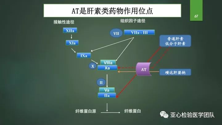 肝素抗凝治疗与监测