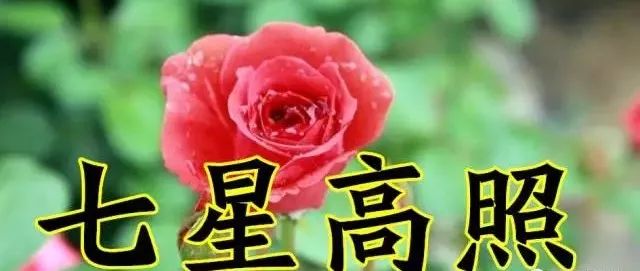 30302018快到了一首吉祥如意送給你願您2018年平安幸福吉祥如意