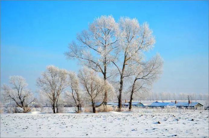 【农垦美】北大荒雪韵