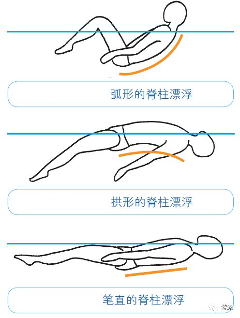 仰泳丨3种身体姿势训练,打好你的仰泳基础