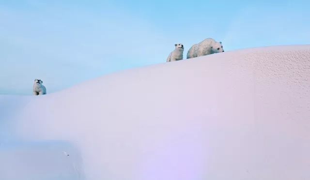 冰源世紀-冰雪王國,精彩紛呈,陪你熱鬧過冬!