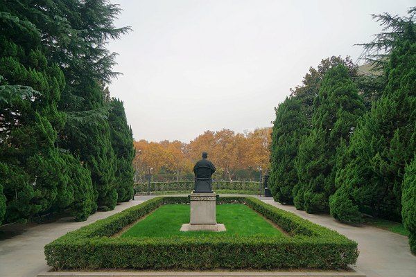 上海魯迅公園有一棵神秘的魯迅樹