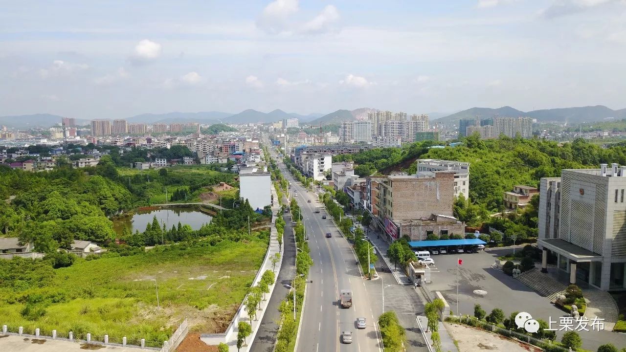 上栗县提升城市品质形象