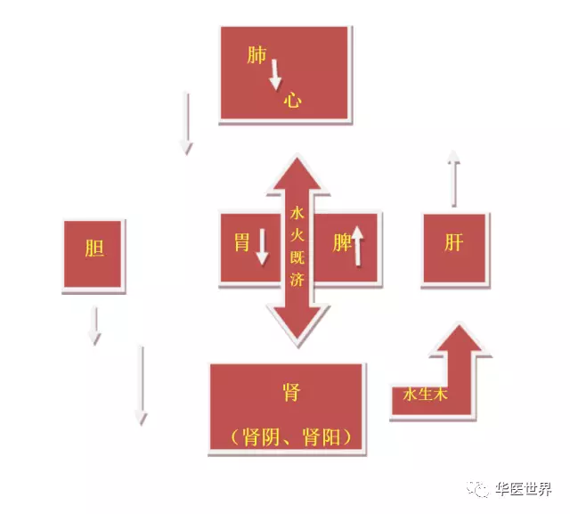 从黄元御的《四圣心源》浅论中医一气之圆运动观