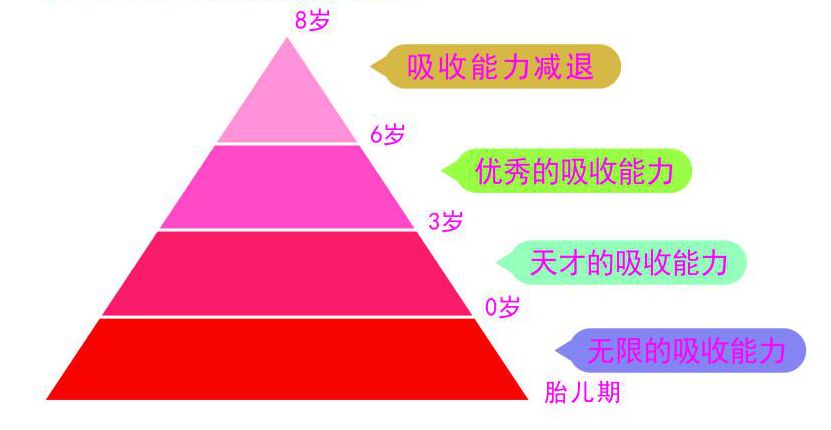 威特的"才能递减法则"倡导右脑开发从零开始,以遵循幼儿大脑生理规律