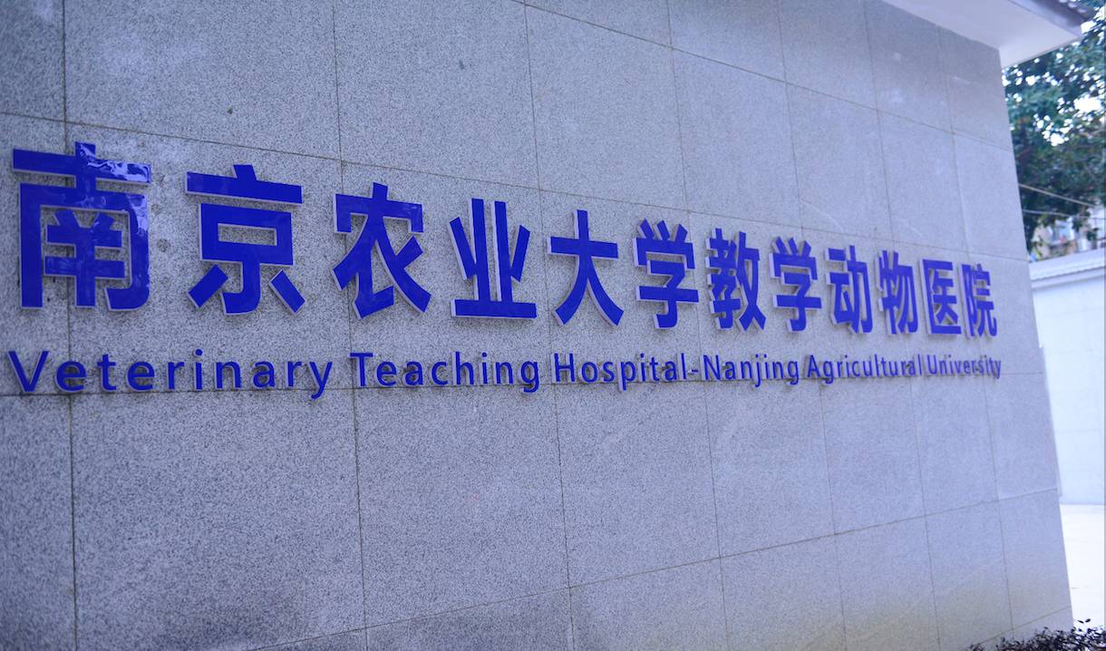 南京农业大学学生证图片