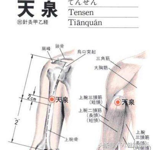 五脏调理和这10个穴位有关?快速查看