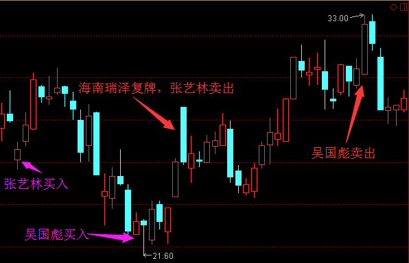 海南瑞泽张艺林简介图片