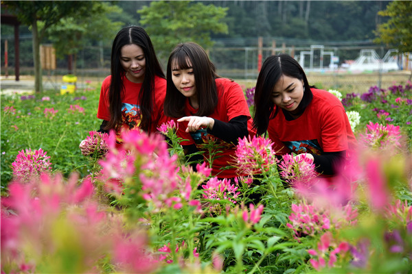 地址:广州市花都区赤坭镇蓝田村748乡道志惠农场 自驾车导航:志惠农场