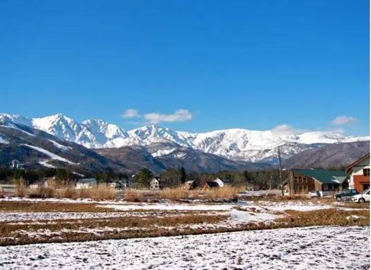 冬遊日本,不去人氣爆棚的北海道一定要去這裡