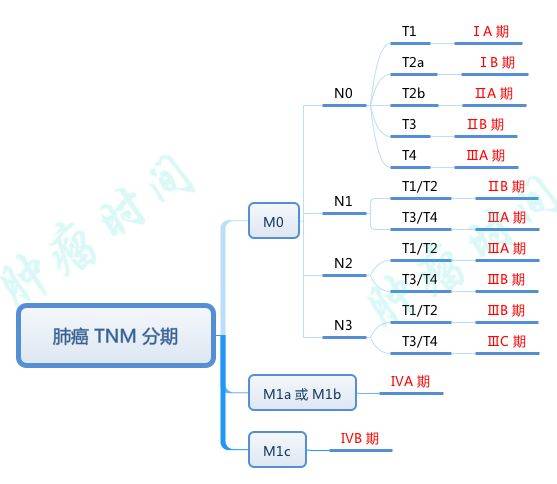 步行周期八个分期图图片