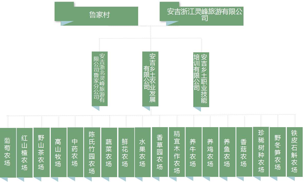 鲁家村建立了一套完整的利益分配机制,使得村集体,旅游公司,家庭农场