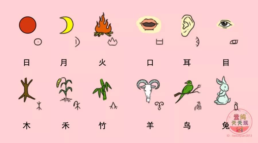 从认识象形字开始 中国汉字是从形来的,学龄