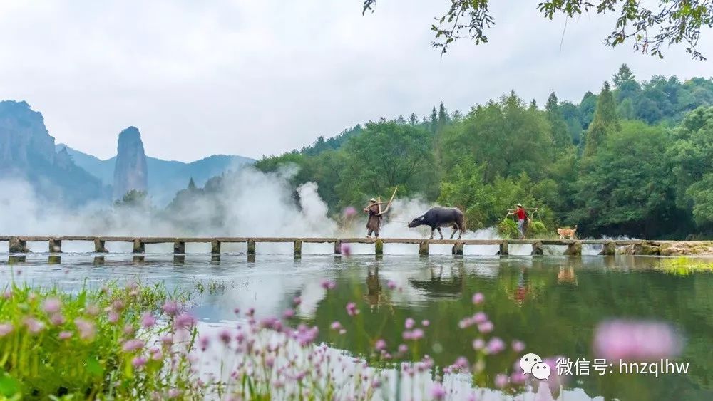 【中青朋游 旺春节】2月18日(初三)秀山丽水行,绿色好心情—感受