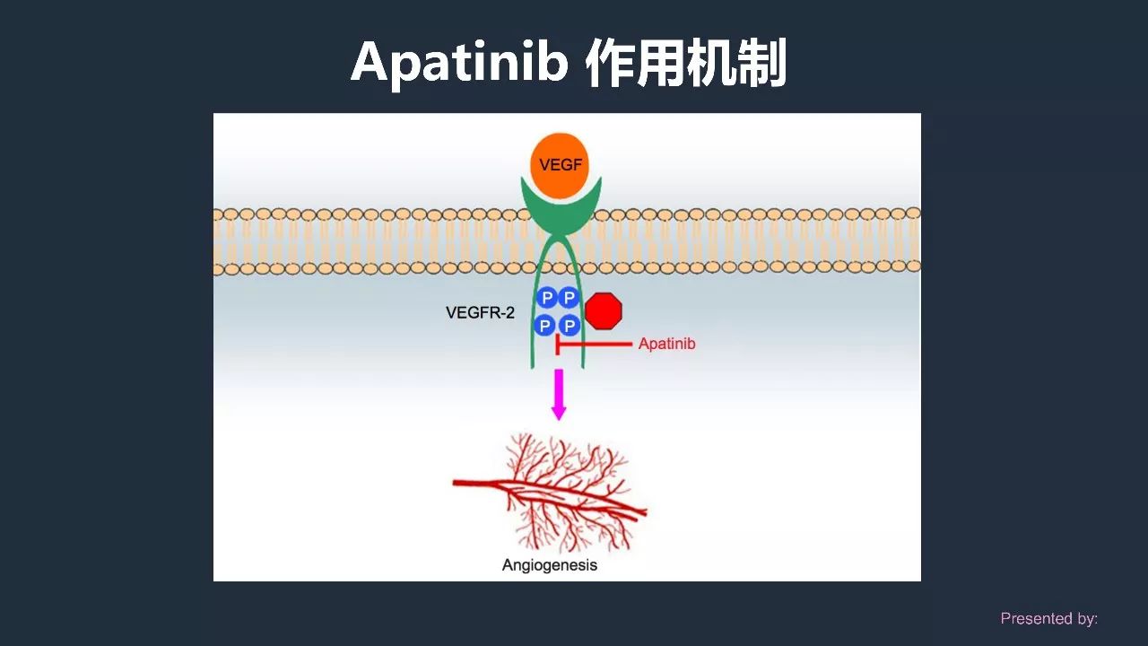 21,对于该患者来说,我们尝试应用vegf通路中vegfr