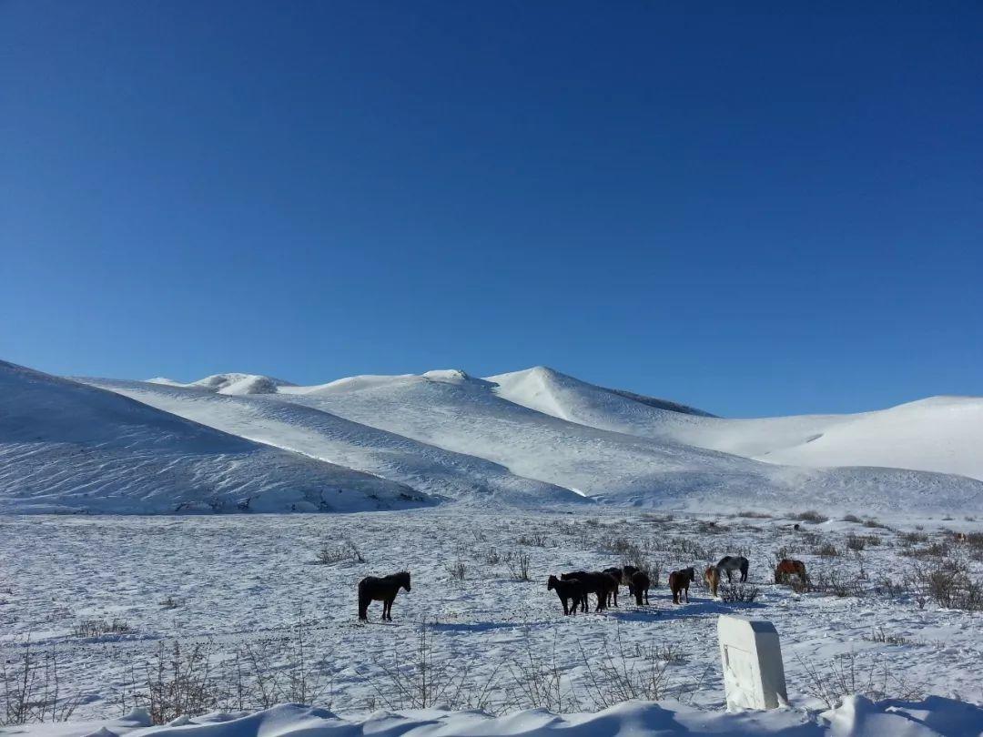 南国寻春,北漠踏雪, 祖国如此之大总有一处适合你